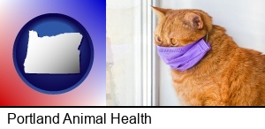 Portland, Oregon - red cat wearing a purple medical mask