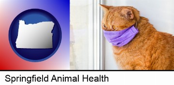 red cat wearing a purple medical mask in Springfield, OR