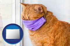 colorado map icon and red cat wearing a purple medical mask