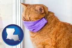 louisiana map icon and red cat wearing a purple medical mask
