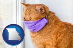 missouri map icon and red cat wearing a purple medical mask