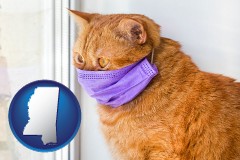 mississippi map icon and red cat wearing a purple medical mask