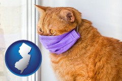 new-jersey map icon and red cat wearing a purple medical mask