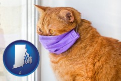rhode-island map icon and red cat wearing a purple medical mask