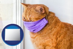 wyoming map icon and red cat wearing a purple medical mask