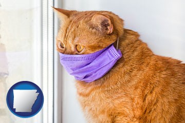 red cat wearing a purple medical mask - with Arkansas icon