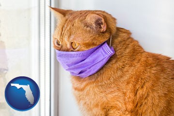 red cat wearing a purple medical mask - with Florida icon
