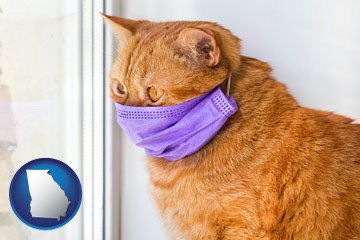 red cat wearing a purple medical mask - with Georgia icon