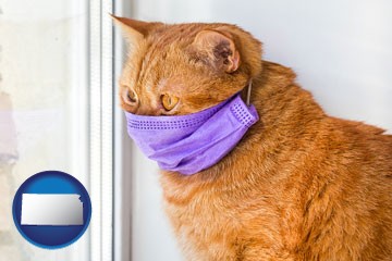 red cat wearing a purple medical mask - with Kansas icon