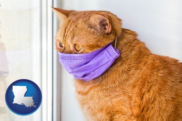 red cat wearing a purple medical mask - with Louisiana icon