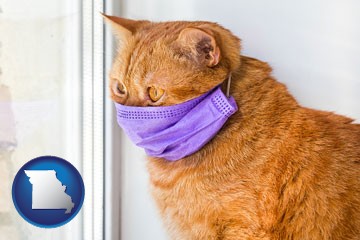 red cat wearing a purple medical mask - with Missouri icon