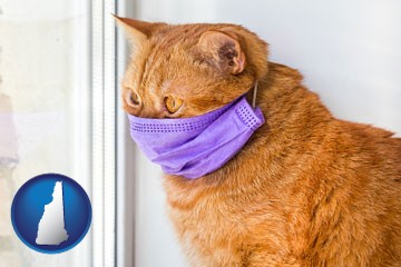 red cat wearing a purple medical mask - with New Hampshire icon