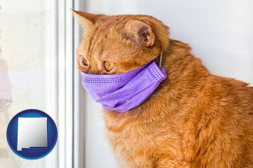 red cat wearing a purple medical mask - with New Mexico icon