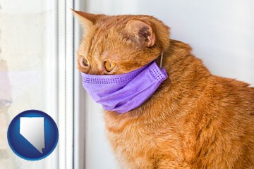 red cat wearing a purple medical mask - with Nevada icon