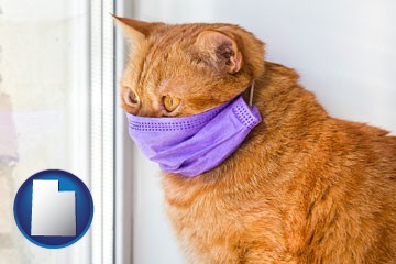 red cat wearing a purple medical mask - with Utah icon
