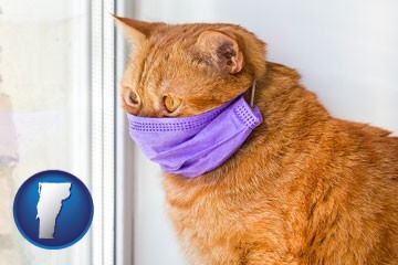red cat wearing a purple medical mask - with Vermont icon