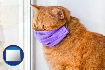 red cat wearing a purple medical mask - with Wyoming icon