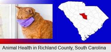red cat wearing a purple medical mask; Richland County highlighted in red on a map