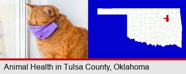 red cat wearing a purple medical mask; Tulsa County highlighted in red on a map