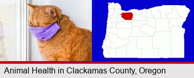 red cat wearing a purple medical mask; Clackamas County highlighted in red on a map