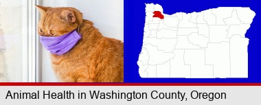 red cat wearing a purple medical mask; Washington County highlighted in red on a map