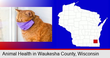 red cat wearing a purple medical mask; Waukesha County highlighted in red on a map